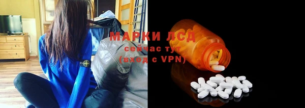 apvp Алексин