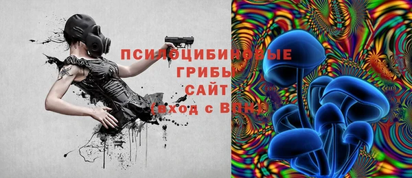 apvp Алексин