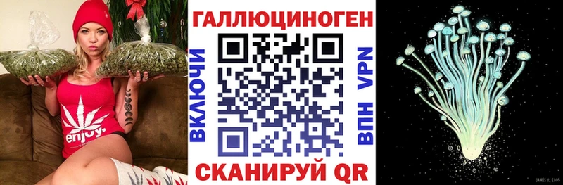 Галлюциногенные грибы Cubensis  что такое наркотик  Кинель 